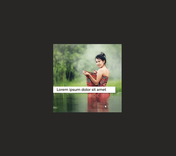 Image Caption Hover Animation - CSS | Geekboots