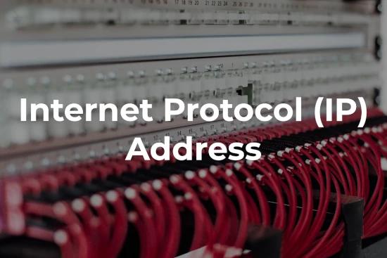 Understanding IP Addresses and Their Versions: IPv4 and IPv6
