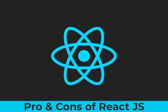 Pros and cons of React JS for web app and Website