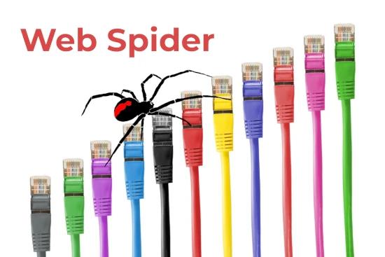 Crawling the Web: Unveiling the Secrets of Web Spiders