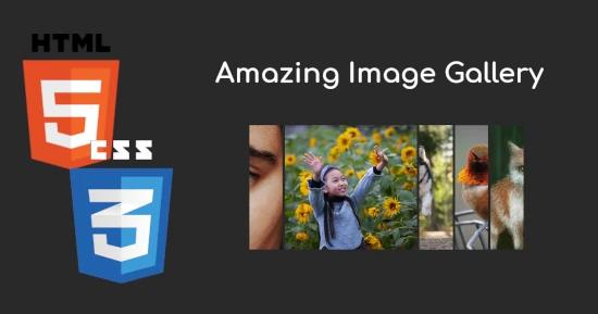 Amazing Image Gallery for CSS