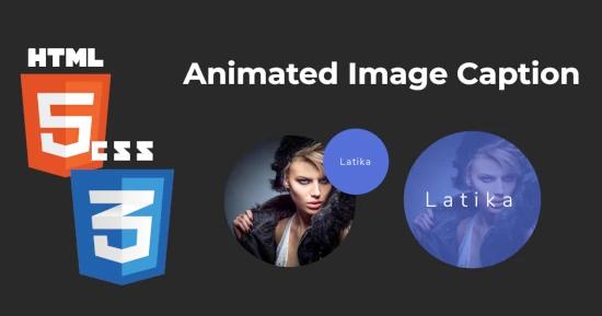 Animated Image Caption for CSS