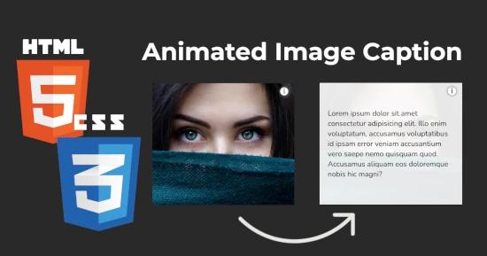 i Button Image Caption for CSS