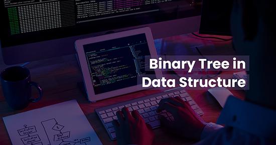 Binary Tree for Data Structure