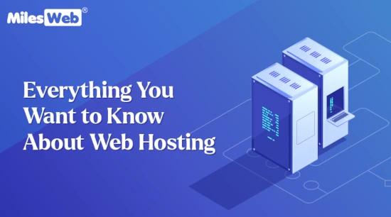 Everything You Want to Know About Web Hosting