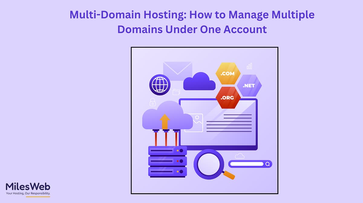 Multi-Domain Hosting: How to Manage Multiple Domains Under One Account