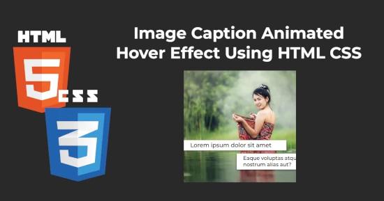 Image Caption Hover Animation for CSS