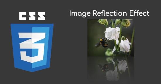 Image Mirror Reflection for CSS