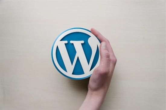 Interesting Facts You Didn't Know About The King of Content Management System - WordPress