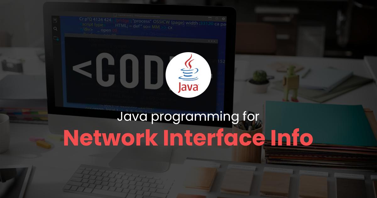Network Interface Info for Java Programming