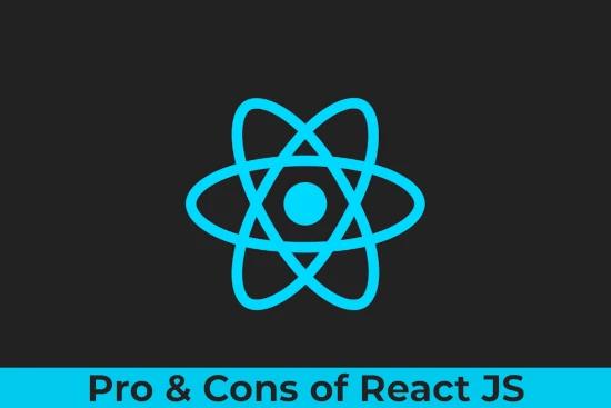 Pros and cons of React JS for web app and Website