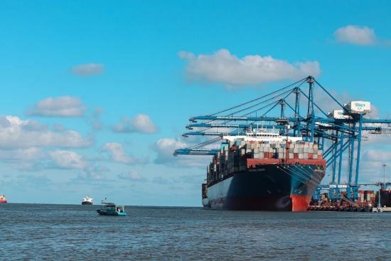 Tech Revolutionizing Ocean Freight: Navigating the Future of Global Shipping