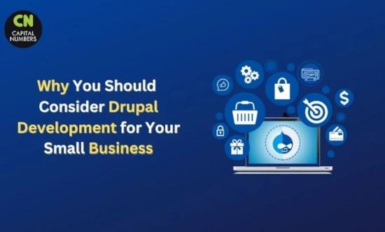 Why You Should Consider Drupal Development for Your Small Business