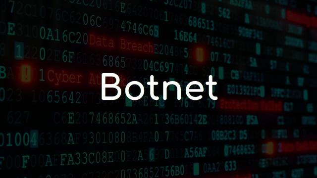 What is Botnet?